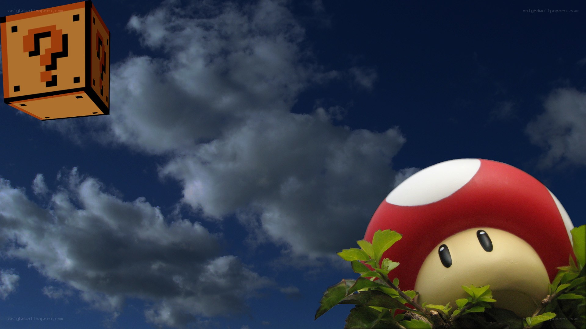 Mario mushroom and question block