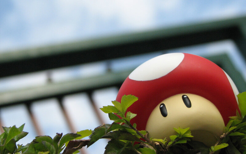 Mario mushroom figurine in plants