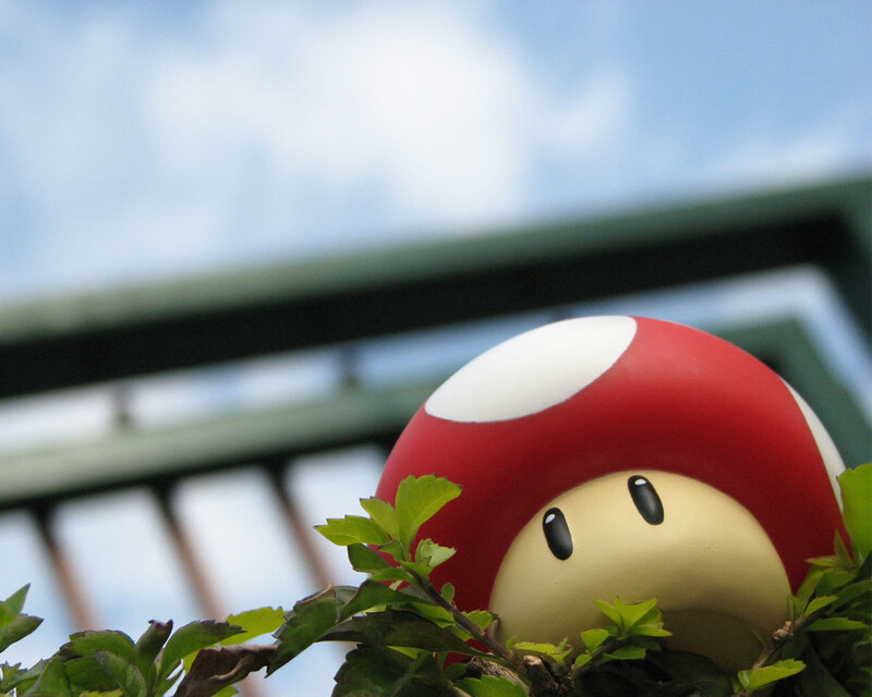 Mario mushroom in foliage