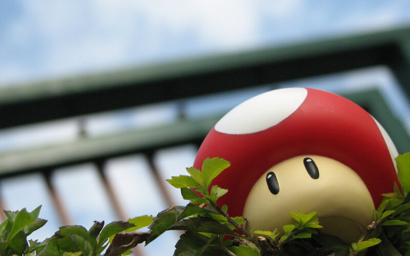 Mario mushroom in foliage