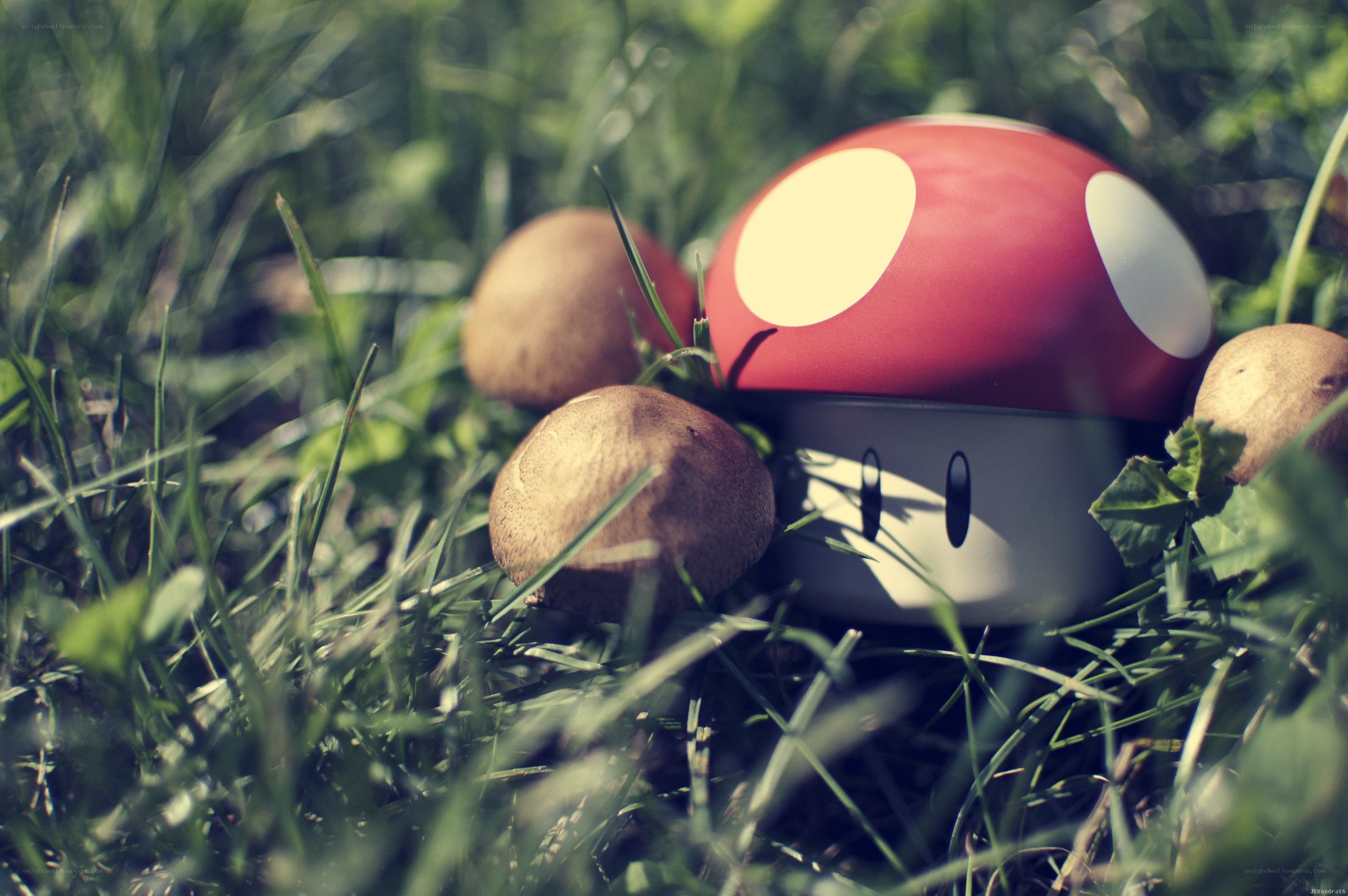 Mario mushroom in grass