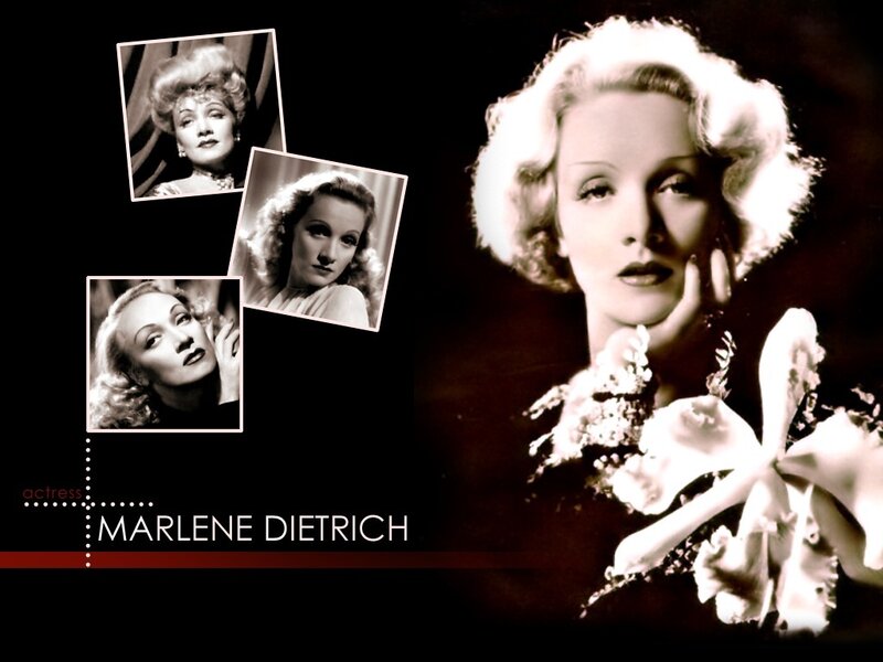 Marlene Dietrich Portrait