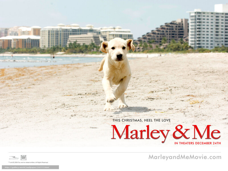 Marley & Me movie poster