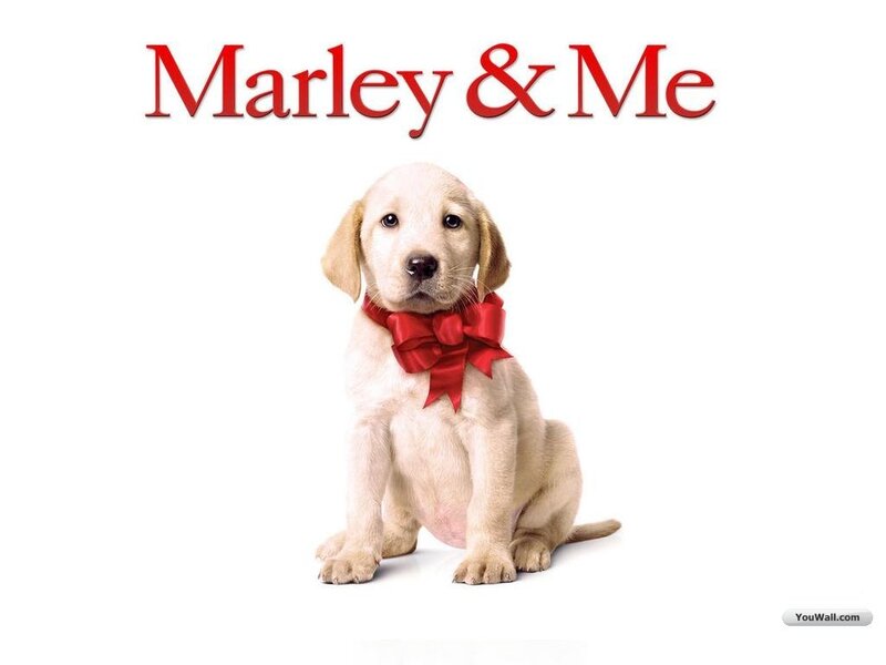 Marley & Me movie poster