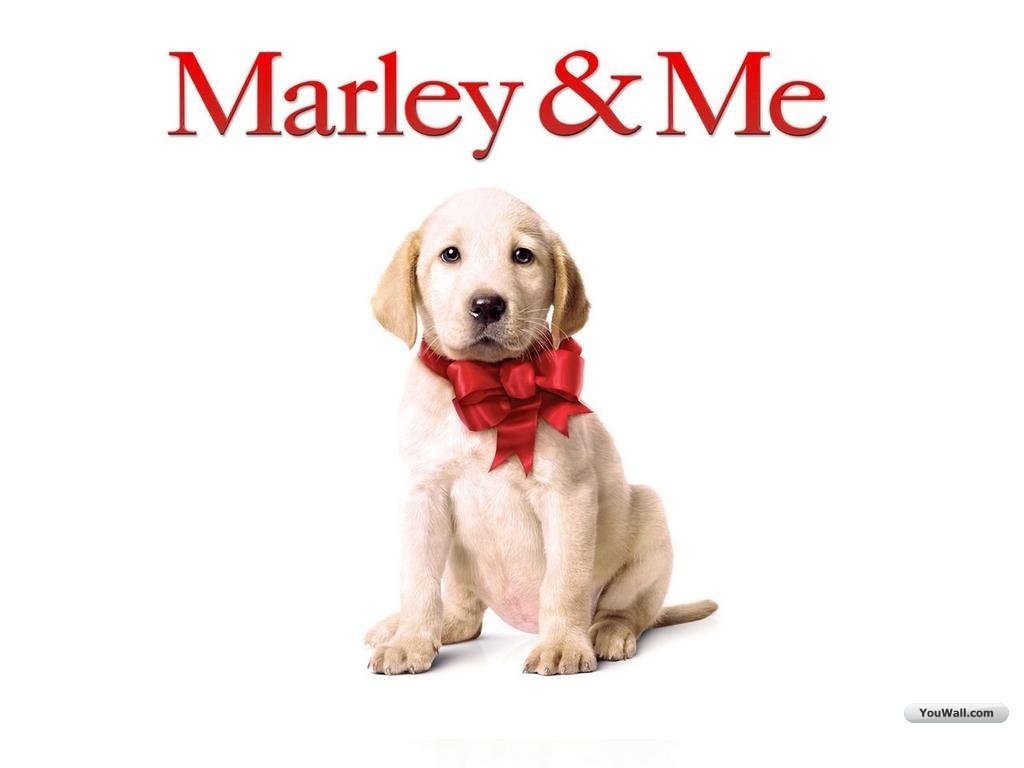 Marley & Me movie poster