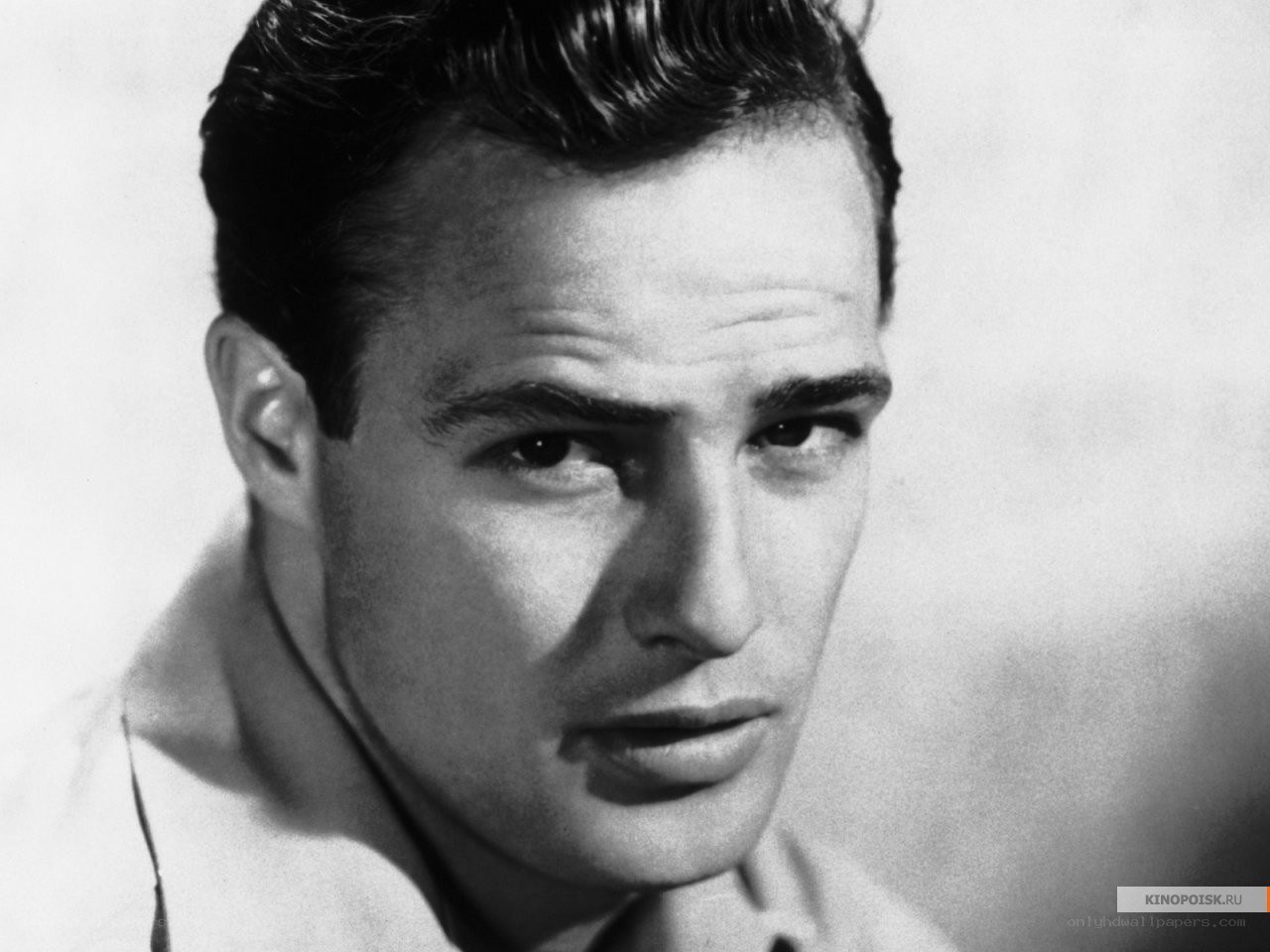 Marlon Brando portrait
