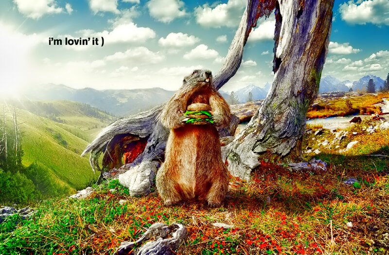 Marmot Holding Burger