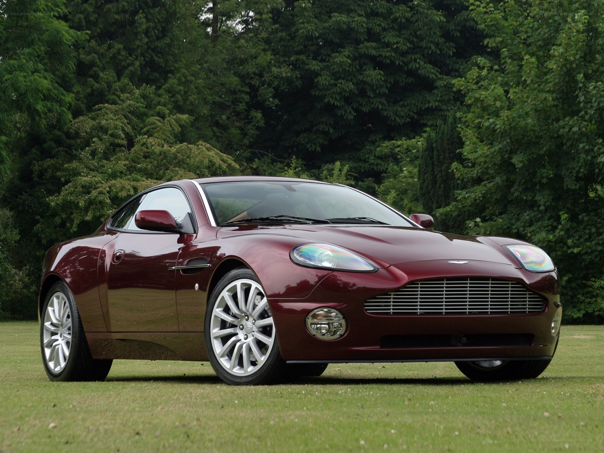 maroon aston martin on grass