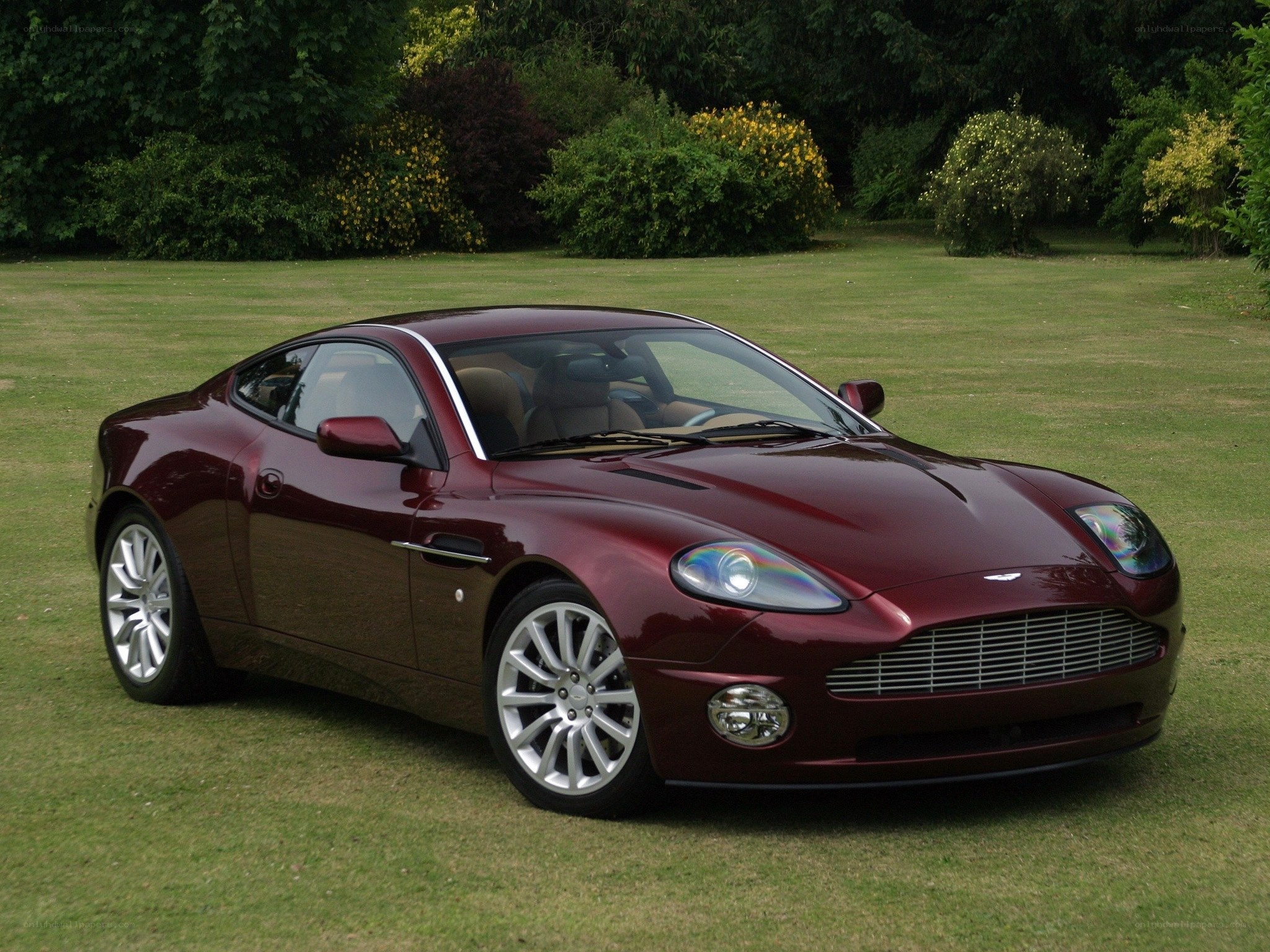 Maroon Aston Martin on lawn