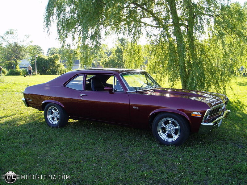 Maroon Classic Car — Serene, Afternoon, Photograph, Tree