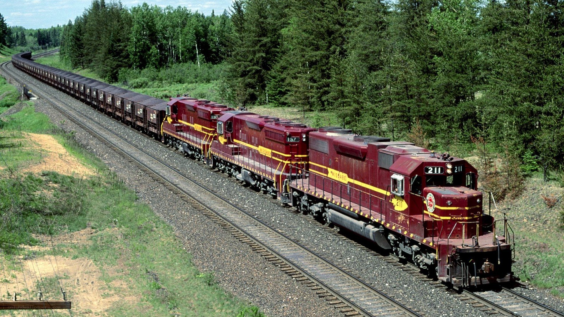 Maroon freight train in forest