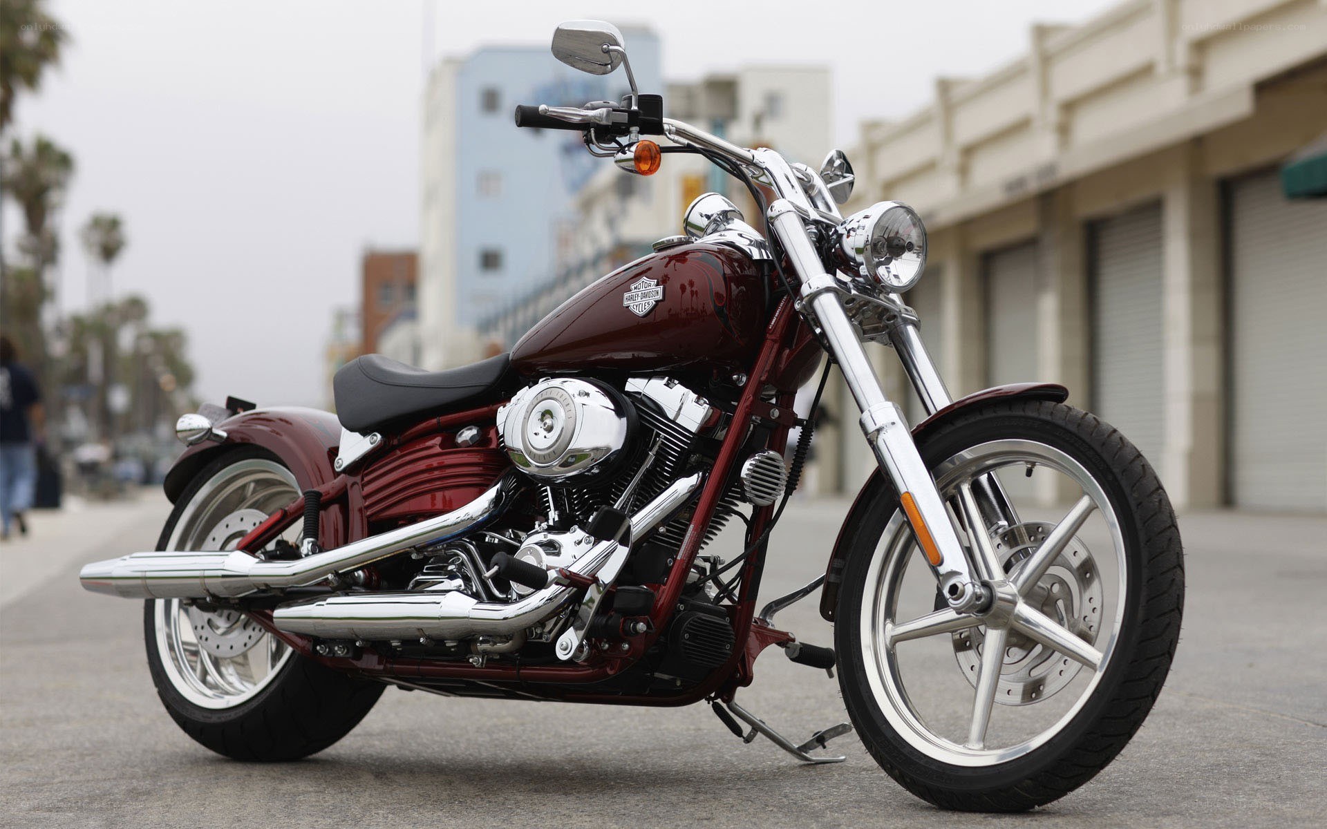 Maroon Harley-Davidson motorcycle