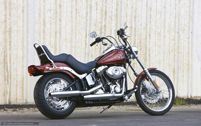 Maroon Harley-Davidson motorcycle