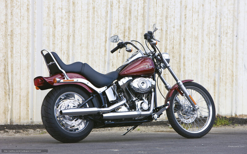 Maroon Harley-davidson Motorcycle — Calm, Afternoon, Photograph, Black Seat