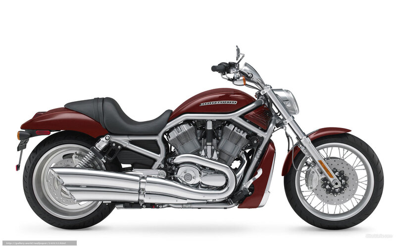 Maroon Harley-davidson Motorcycle — Neutral, Photograph, Seat, Engine, Exhaust