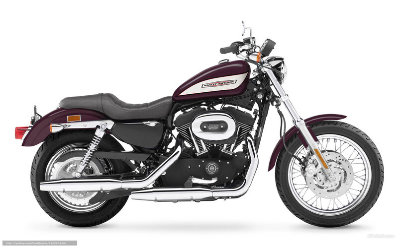 Maroon Harley-davidson Motorcycle — Neutral, Photograph, Seat
