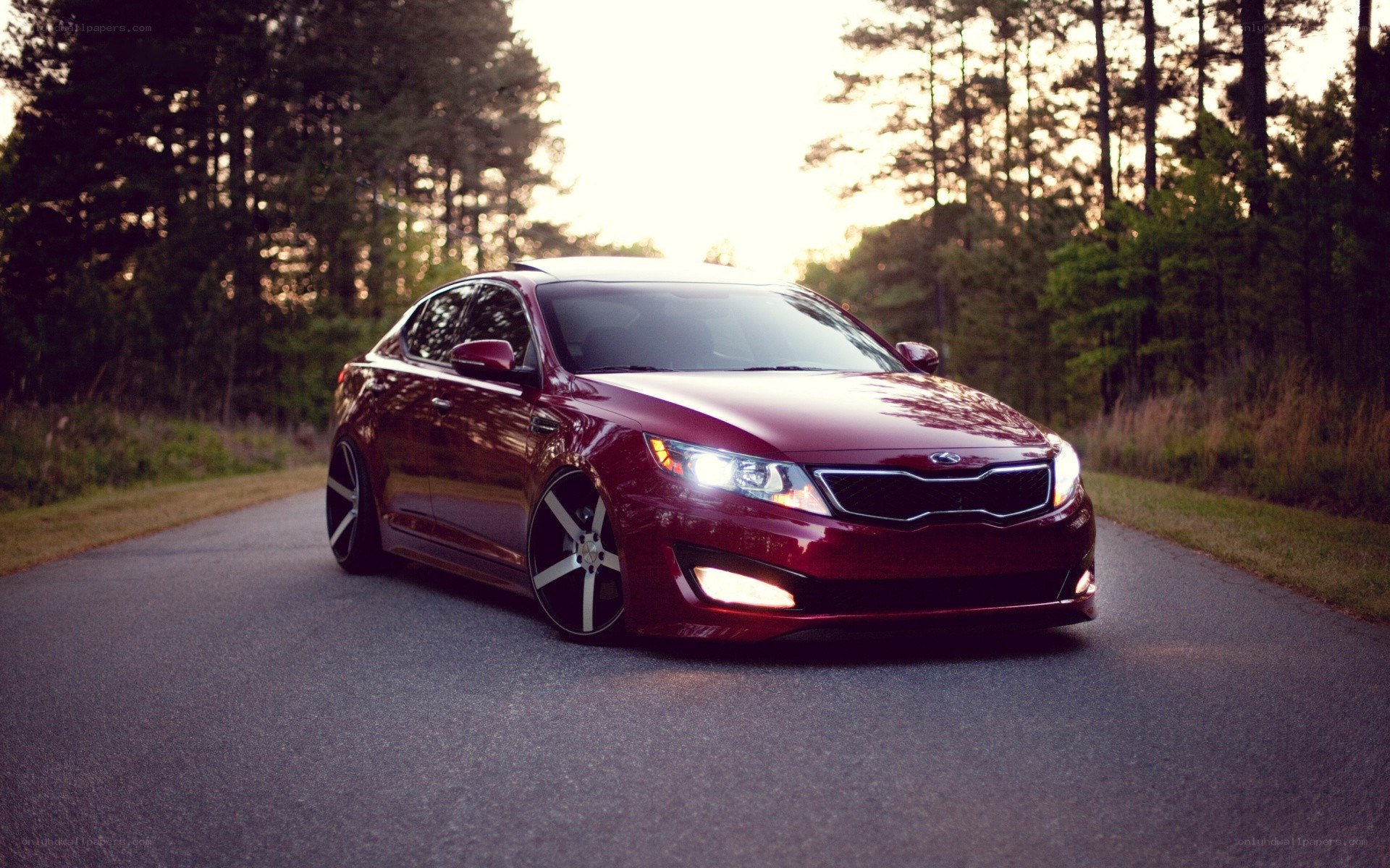 maroon kia on a forest road