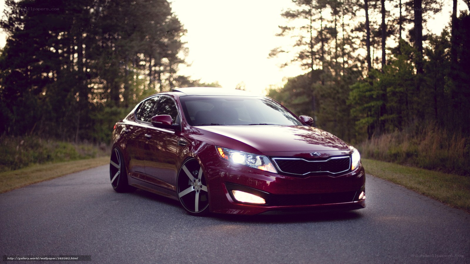 maroon kia on forest road