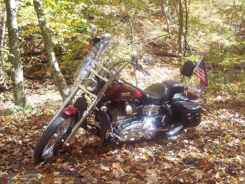 Maroon Motorcycle in Forest
