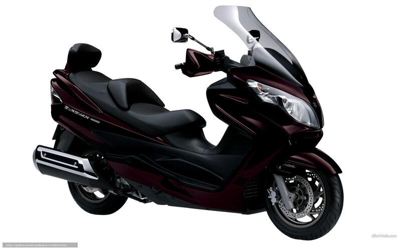 Maroon Scooter — Neutral