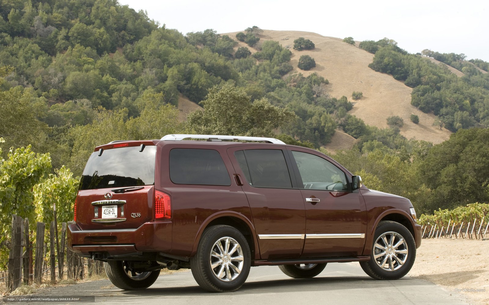 Maroon SUV in vineyard
