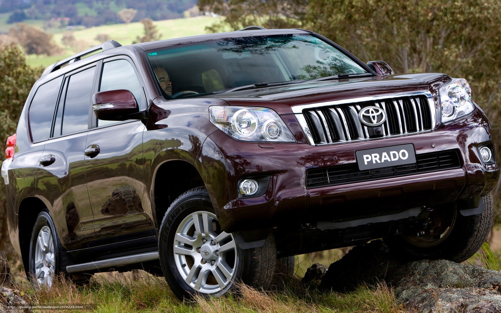 Maroon Toyota Prado on a rocky trail