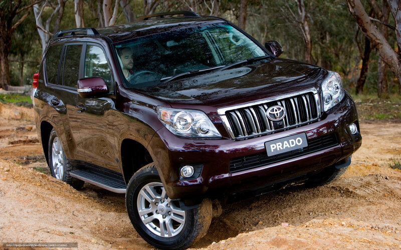 Maroon Toyota Prado