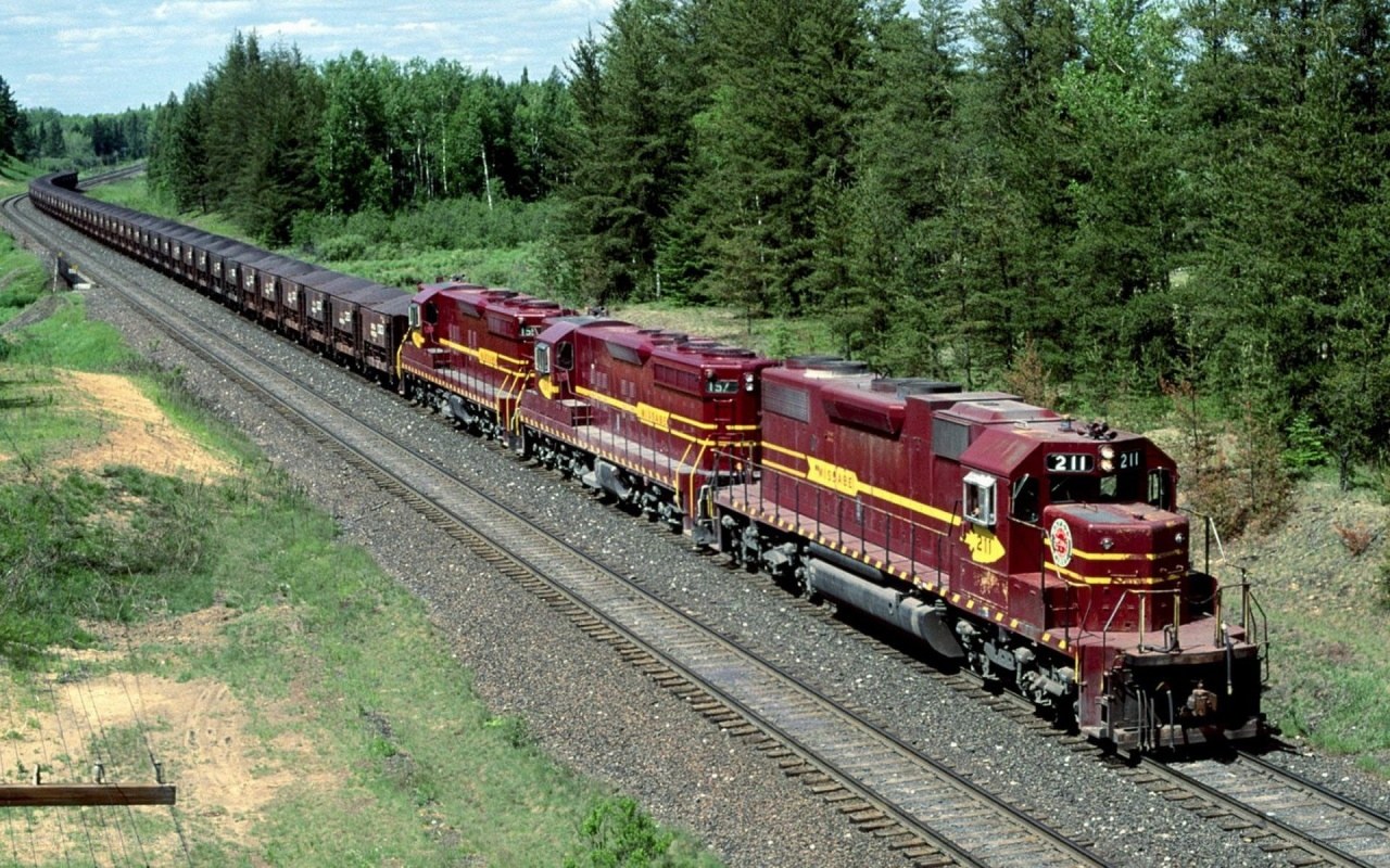 Maroon train in forest