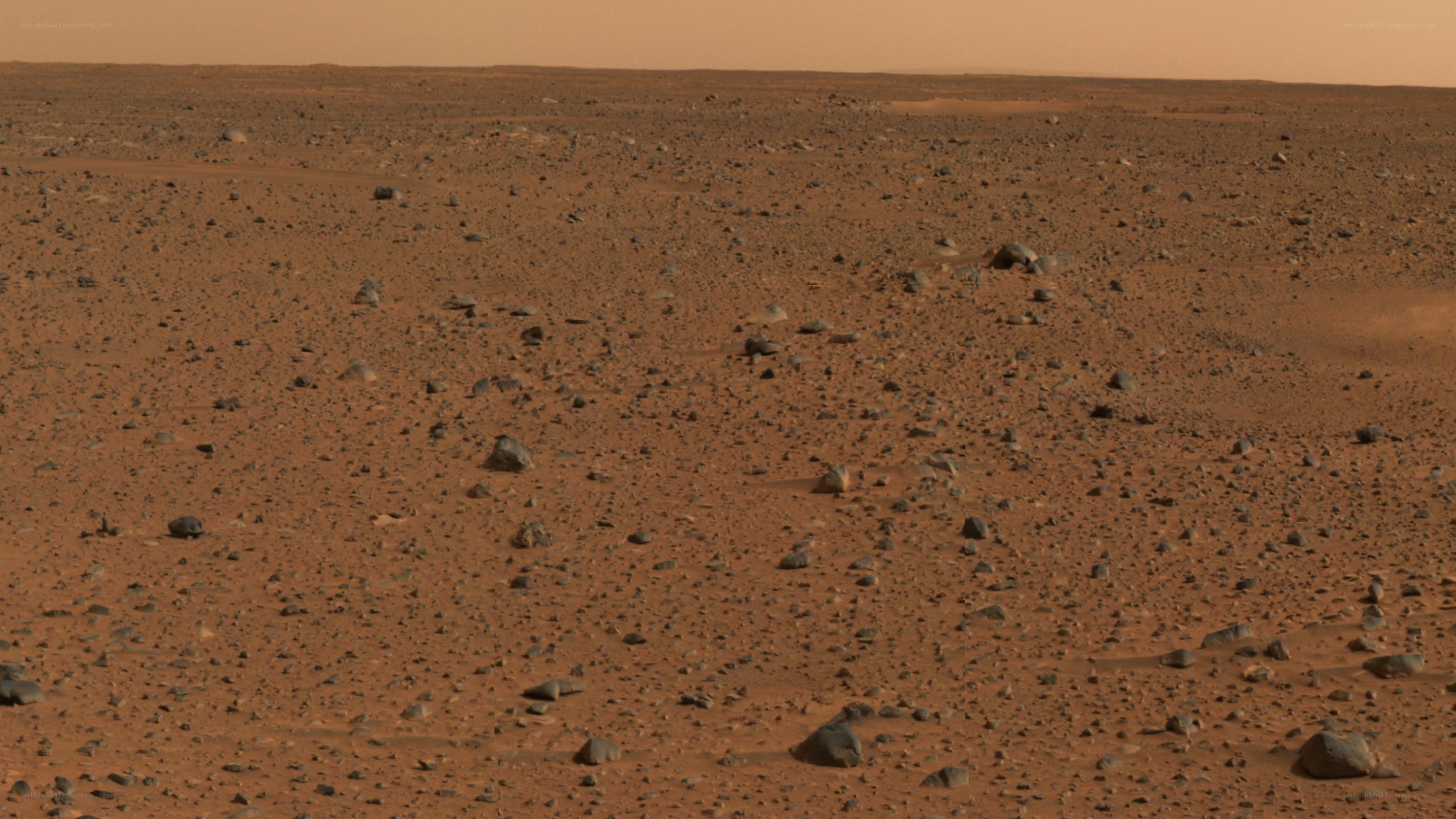 Mars surface landscape