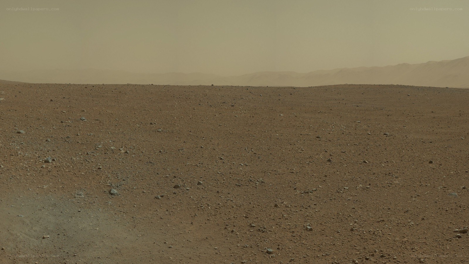 Mars surface landscape