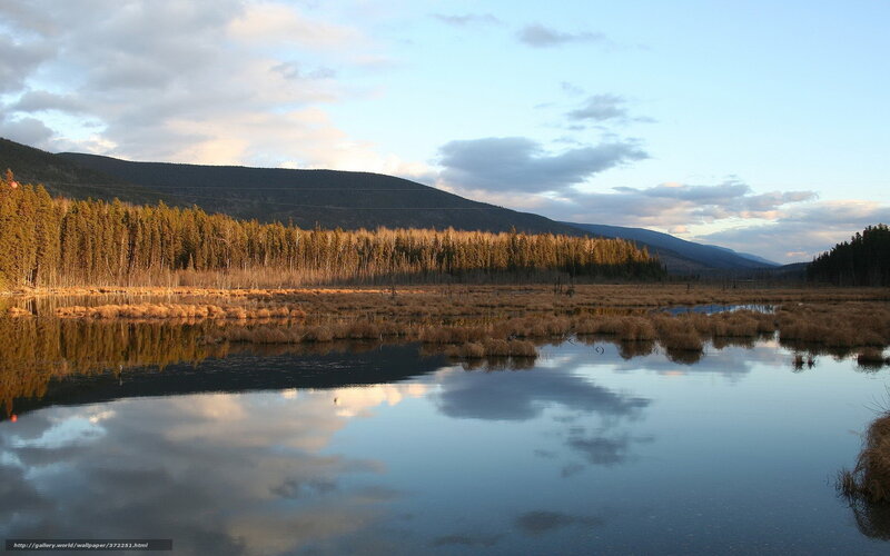 Marsh at dusk with mountain reflection