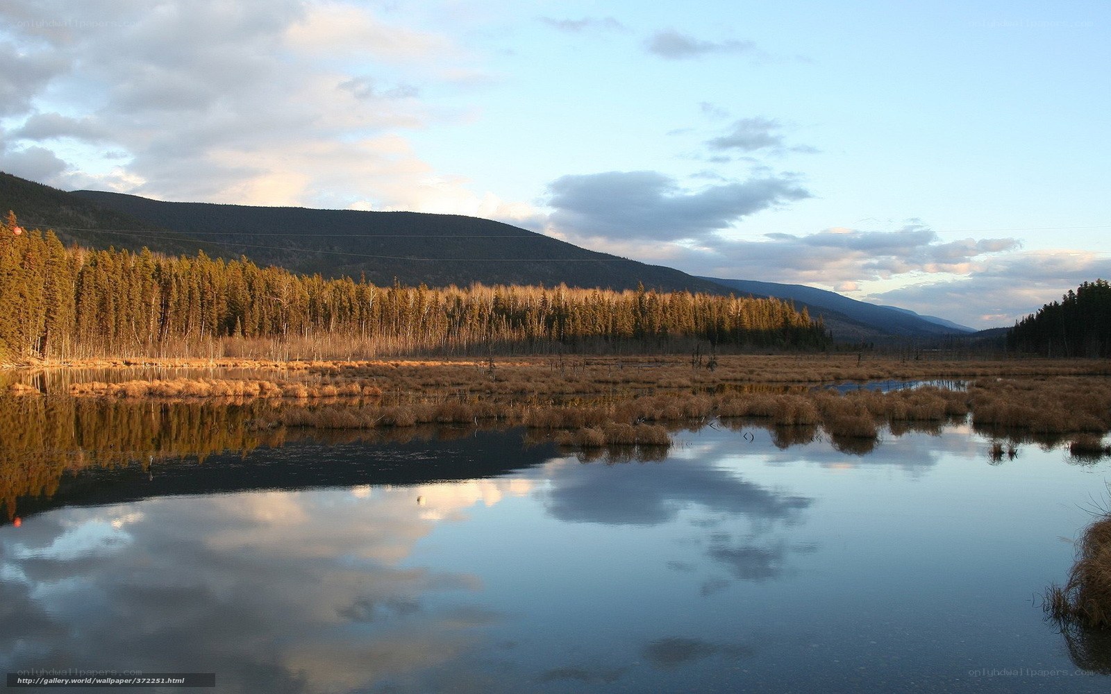 Marsh at dusk with mountain reflection