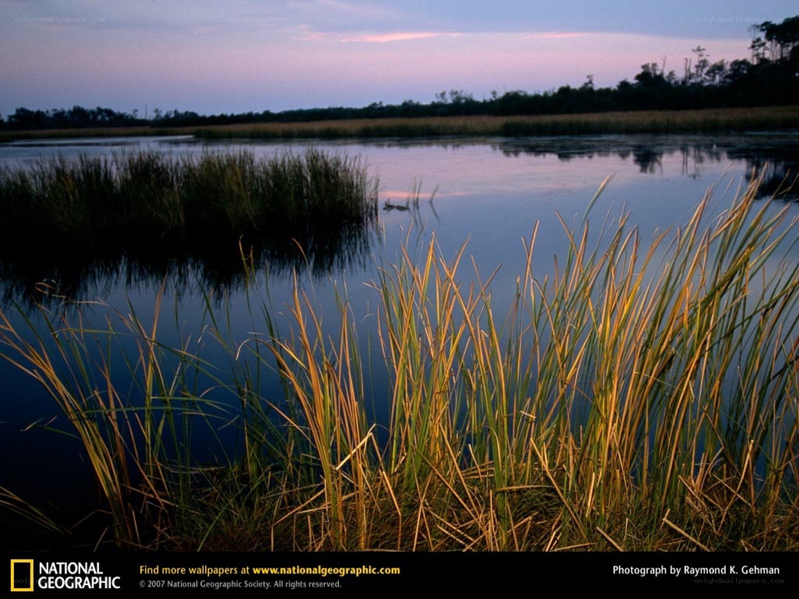 Marsh at Dusk