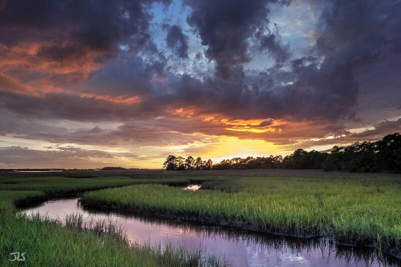 Marsh at Sunset — Green