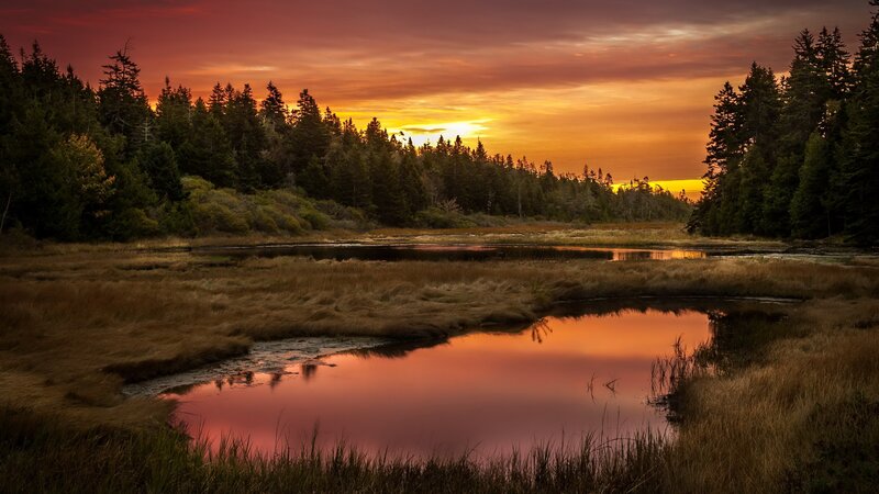 Marsh at Sunset — Orange, Serene, Photograph
