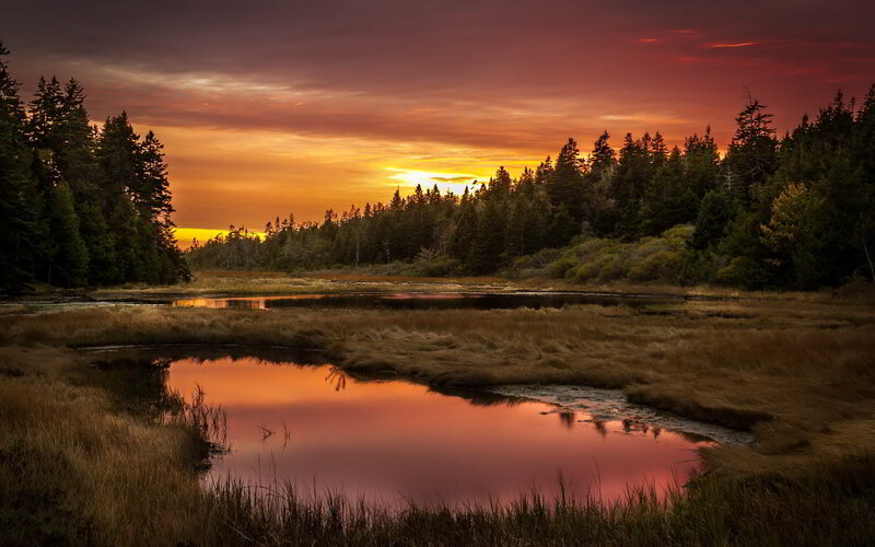 Marsh at Sunset — Orange, Serene, Photograph, Trees, Sky