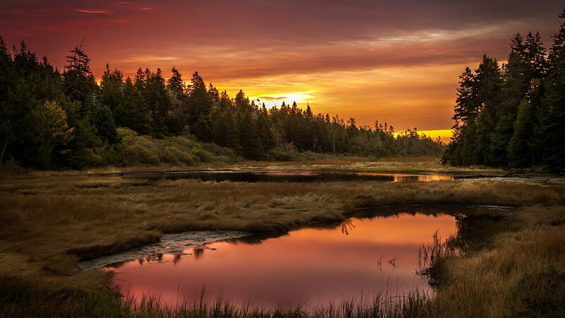 Marsh at Sunset — Orange, Serene, Photograph, Trees