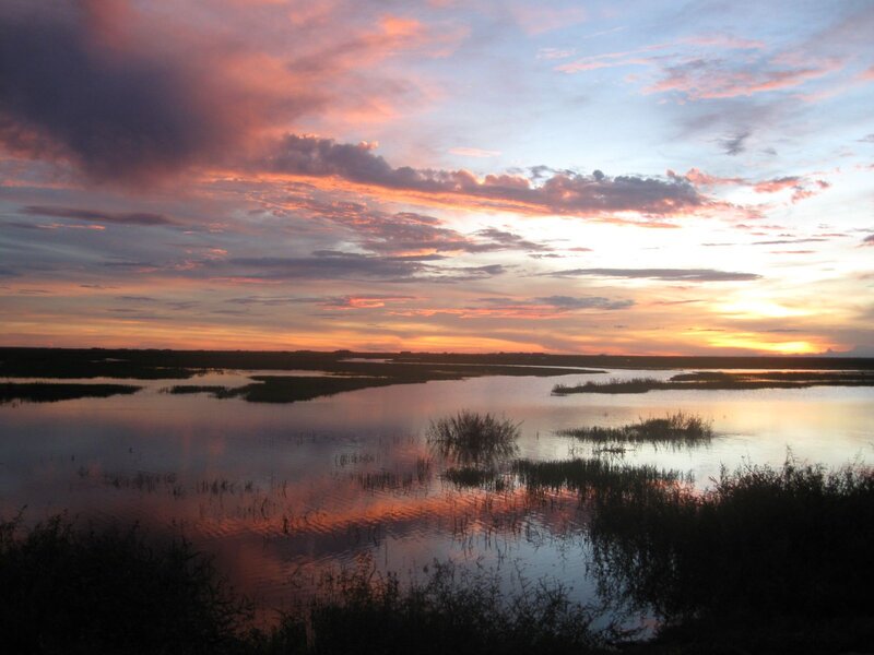 Marsh at Sunset — Orange, Serene