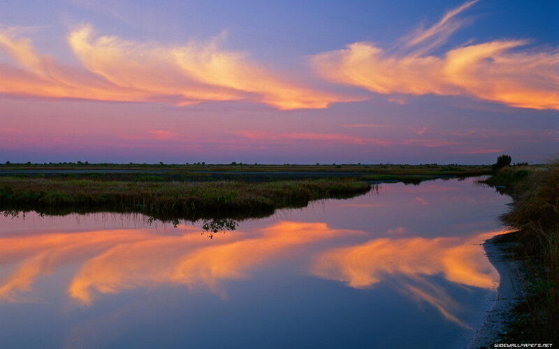 Marsh at Sunset — Orange