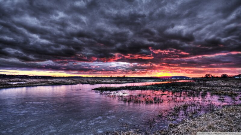 Marsh at Sunset — Purple