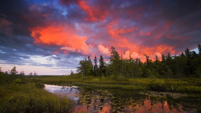 Marsh at Sunset — Red, Dramatic, Photograph