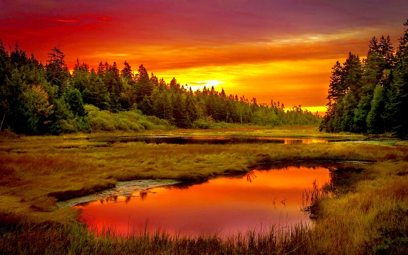 Marsh at Sunset — Red, Dramatic