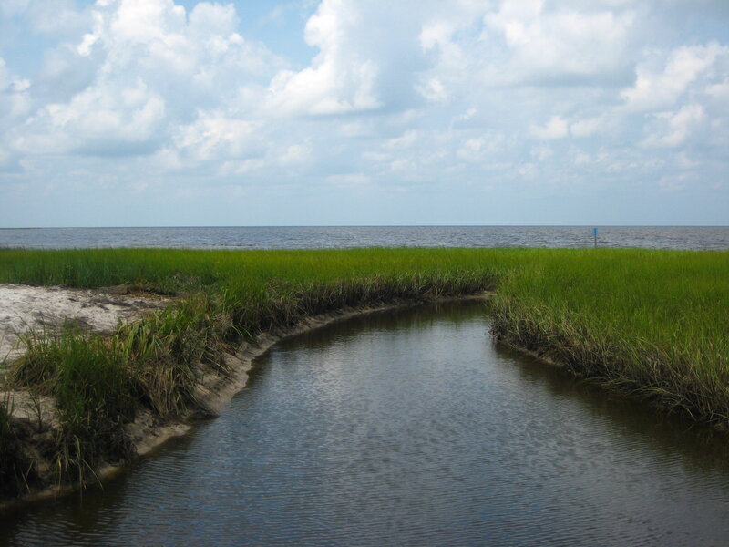 Marsh Creek Leading to Ocean