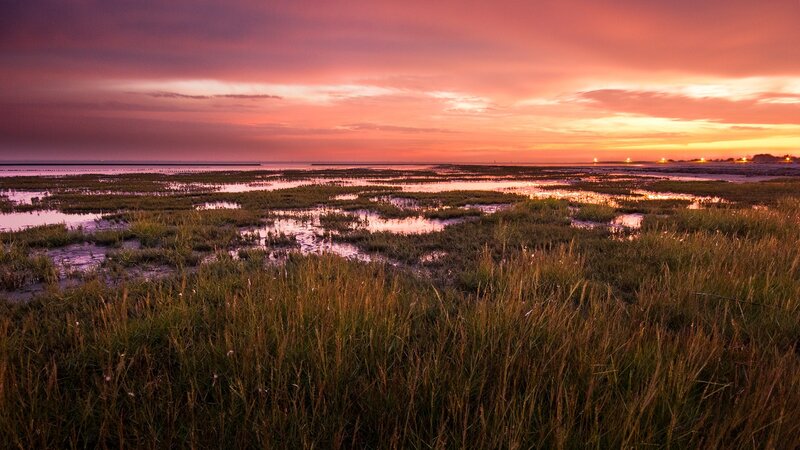 Marsh Grass at Sunset — Pink, Serene, Photograph