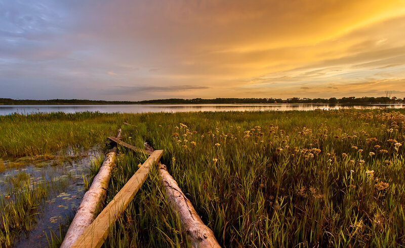 Marsh Grass at Sunset