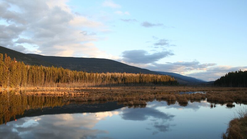 Marsh landscape at dusk