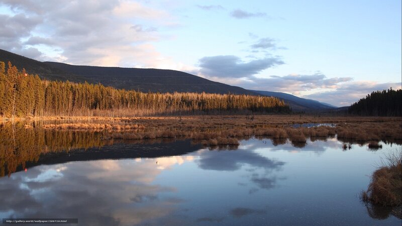 Marsh Reflecting Sky