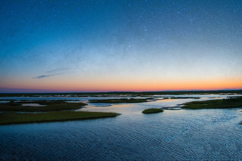Marsh under Starry Sky