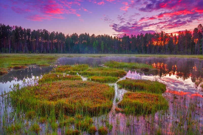 Marsh with Floating Islands