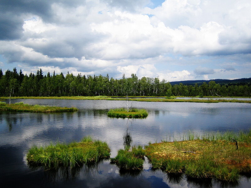 Marsh with Small Islands